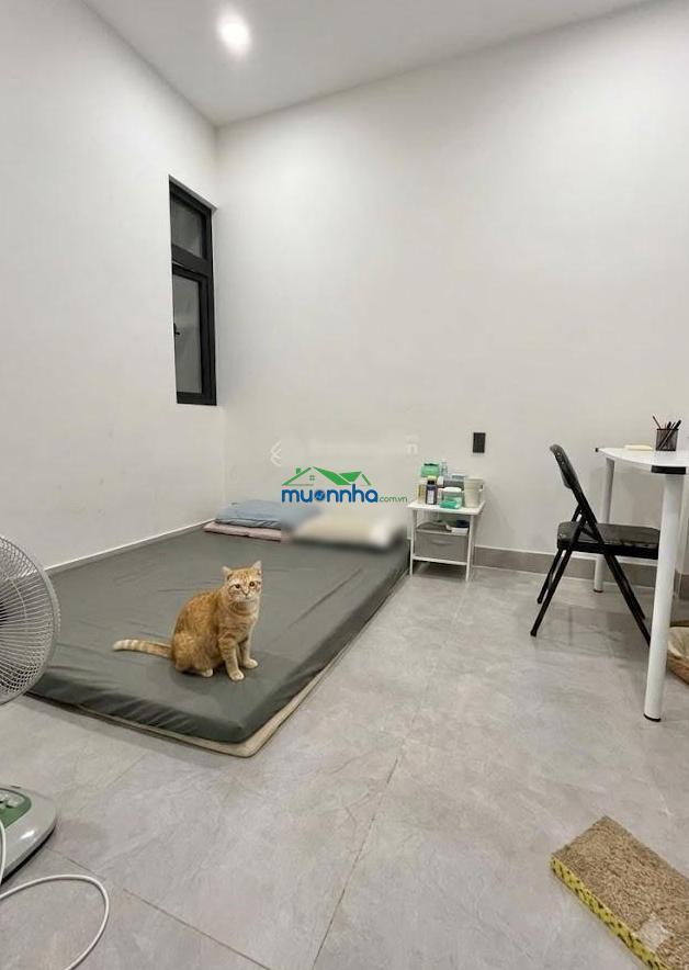 Dương quảng hàm, diện tích 52m2, ngang hiếm 4.3m, ô tô vô nhà, gần phạm văn đồng - 3