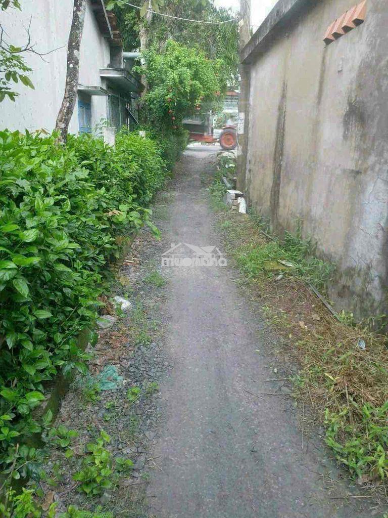 190m2 đất vườn được chuyển thổ cư xã hưng long bình chánh - 3