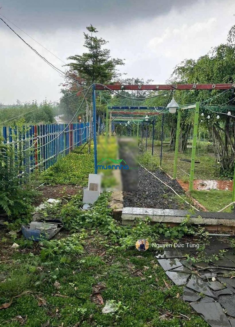 Bán nhà rộng, 12x44=546m2, phước thạnh, củ chi, gần ngã quốc lộ 22, sổ riêng, 960tr - 3
