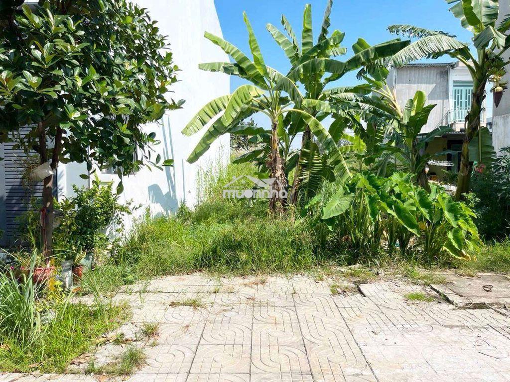 Kẹt tiền xoay vốn bán miếng đất mt shr gần vòng xoay an lạc - 3