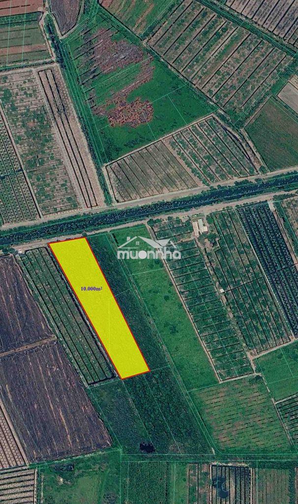 Bán gấp lô đất 10.000m² (1 hecta) tại bến lức - long an giá 4,3tỷ - 3