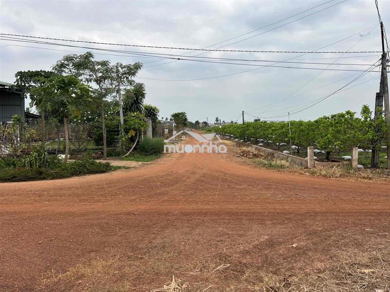 314m mặt tiền tại tân hưng - tân châu - tây ninh