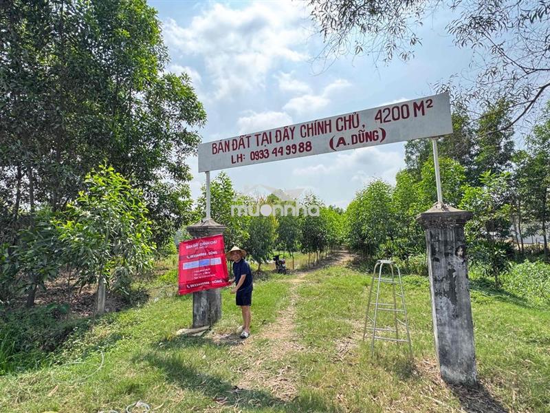Vị trị ngay sân golf long thành củ nay thuộc phước tân tp biên hoà -42