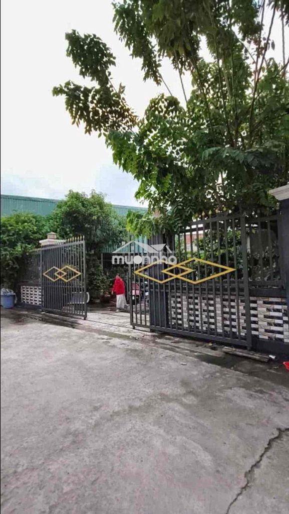 🏡 Nhà cấp 4 – đất rộng 210m² – giá chỉ 4.2 tỷ  📍 tân đông hiệp, dĩ an