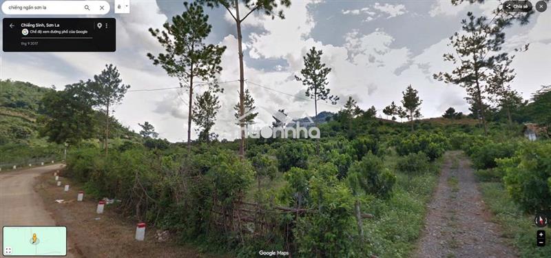 Chuyển nhượng 6.000m² vườn bản pát, chiềng sinh