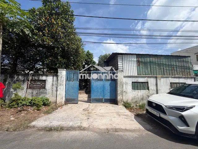 Lô góc 2 mt-tặng nhà-nhánh tl 8 -bình mỹ củ chi – 287.5m² -giá 4.79 tỷ - 3