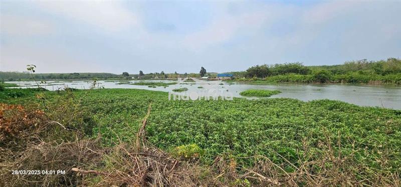 1.6ha - 2 mặt tiền đường và sông sg !