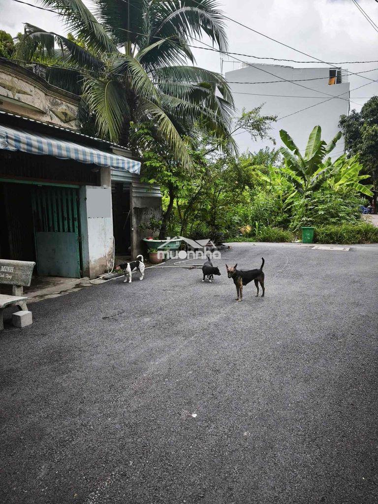 Thuê nhà làm kho đs1, nam hùng vương, 4*20, 1lửng, hẻm🚗 quay đầu, 7,5t - 4