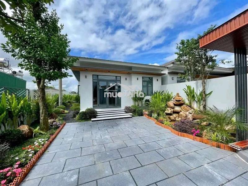 Chủ kẹt tiền muốn bán nhanh căn nhà và mảnh vườn hơn 500m2