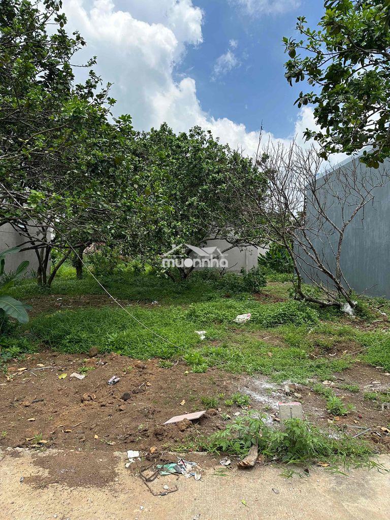 Đất ngay trường nguyễn hữu cảnh lê a bình lộc - 4