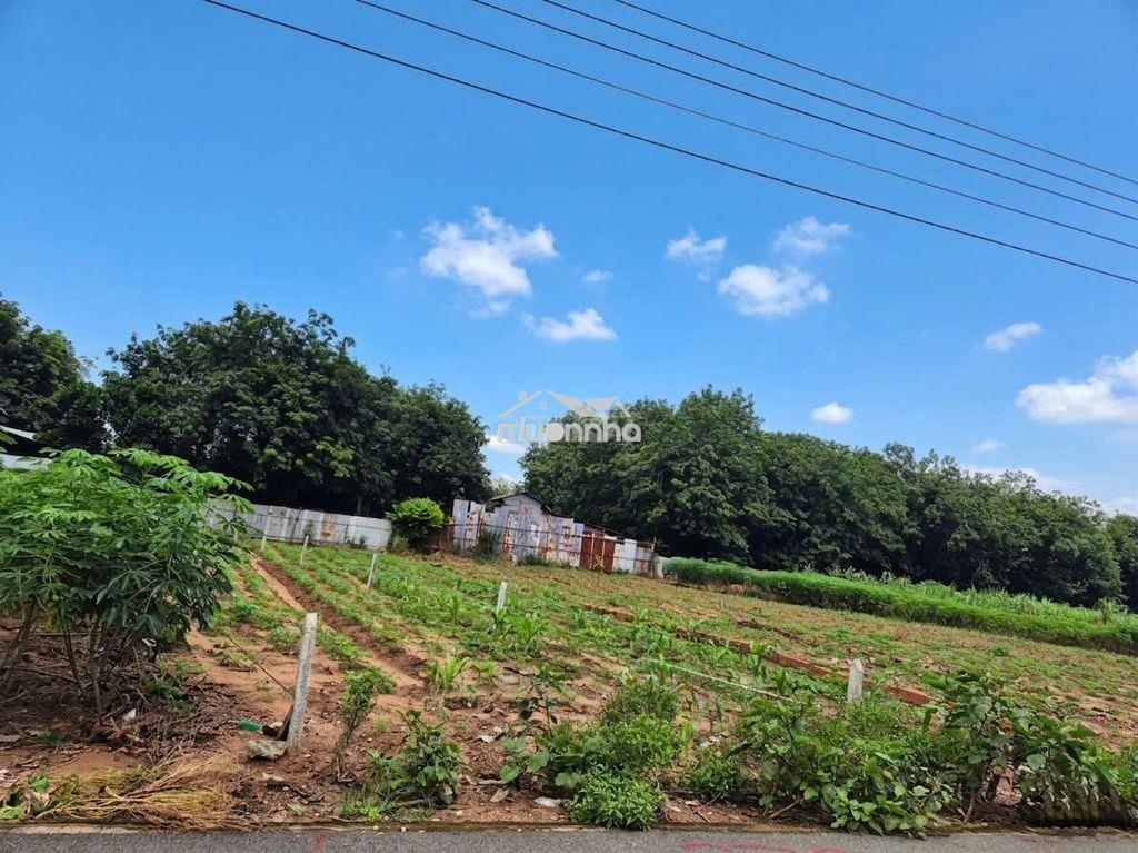 250m2 + 100m2 tc nhựa 7m 550tr ngay ubnd xã an linh  - 2