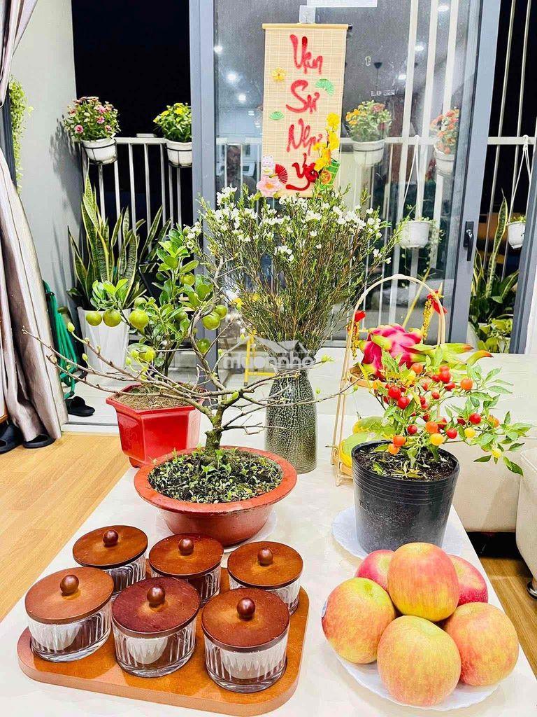 Viva riverside q6 - căn 78m2 full nội thất - 4