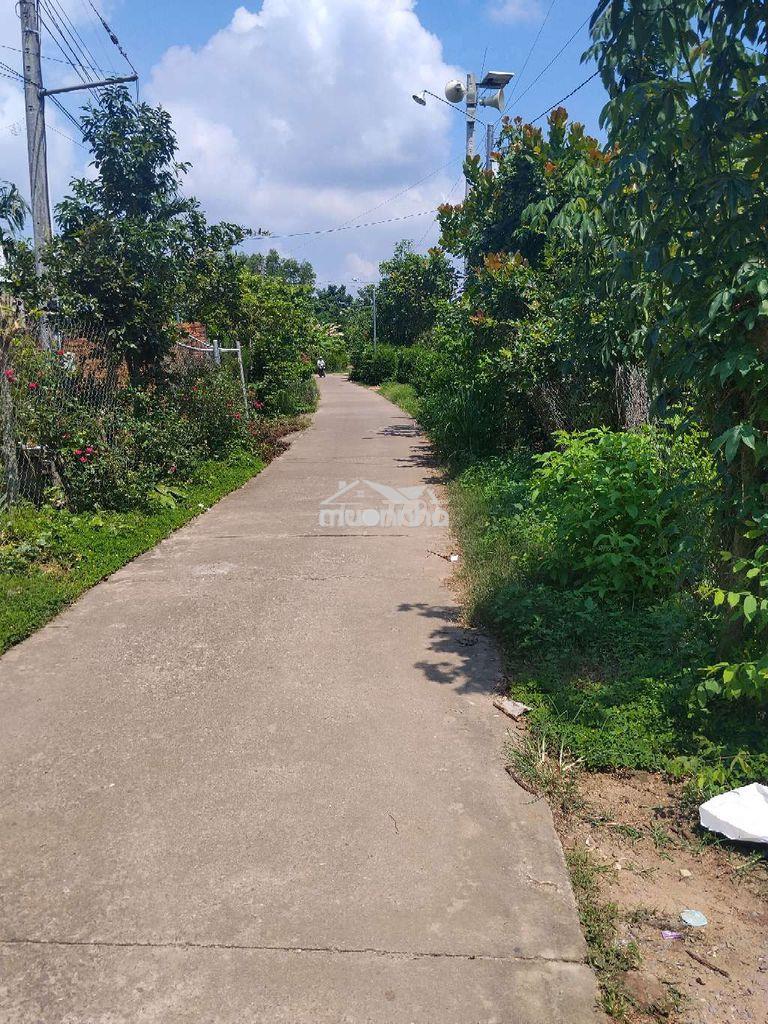 Bán đất 6x50 bao tách sổ