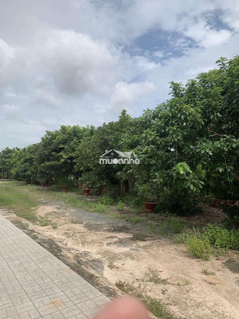 Đất nhà vườn