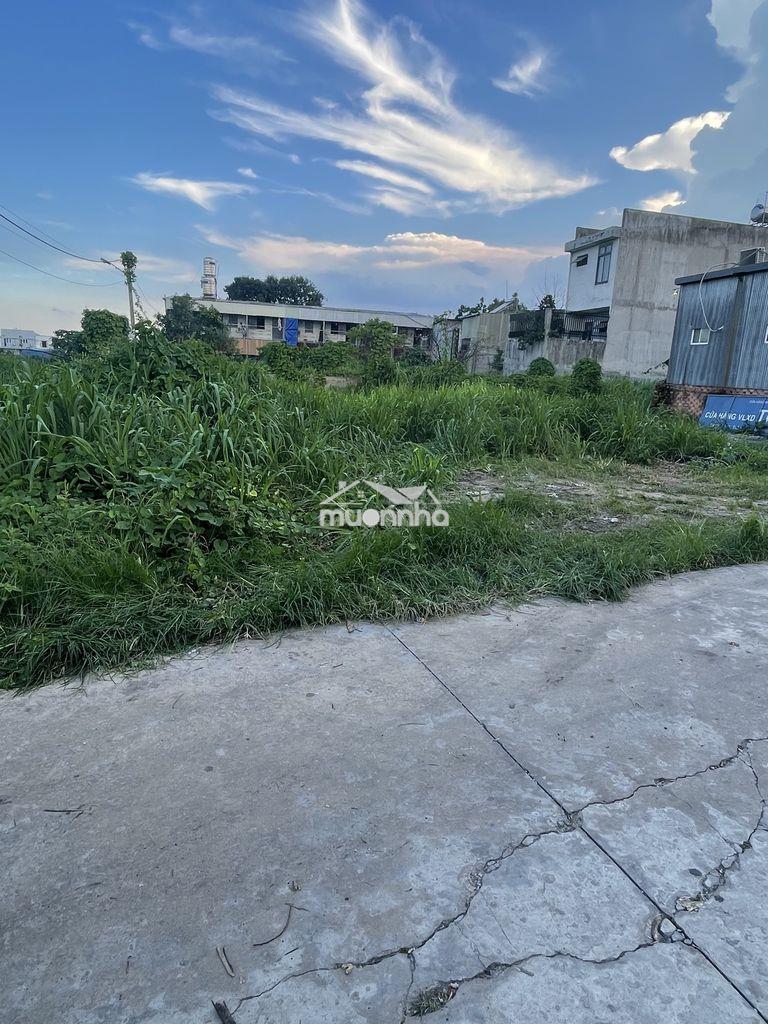 Về quê cần bán lô đất - 2