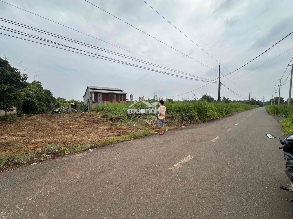 Cần bán đất mặt tiền nhựa - đường chính - 2