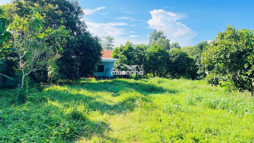 Bán đất hòa long bà rịa vũng tàu - 4