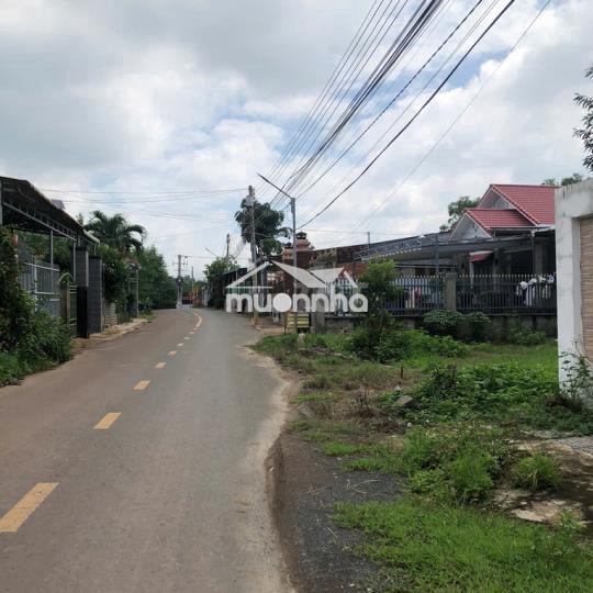 🏡Hàng siêu đặc biệt, đất tt vĩnh an 455m² giá 210tr gần hồ trị an, shr
