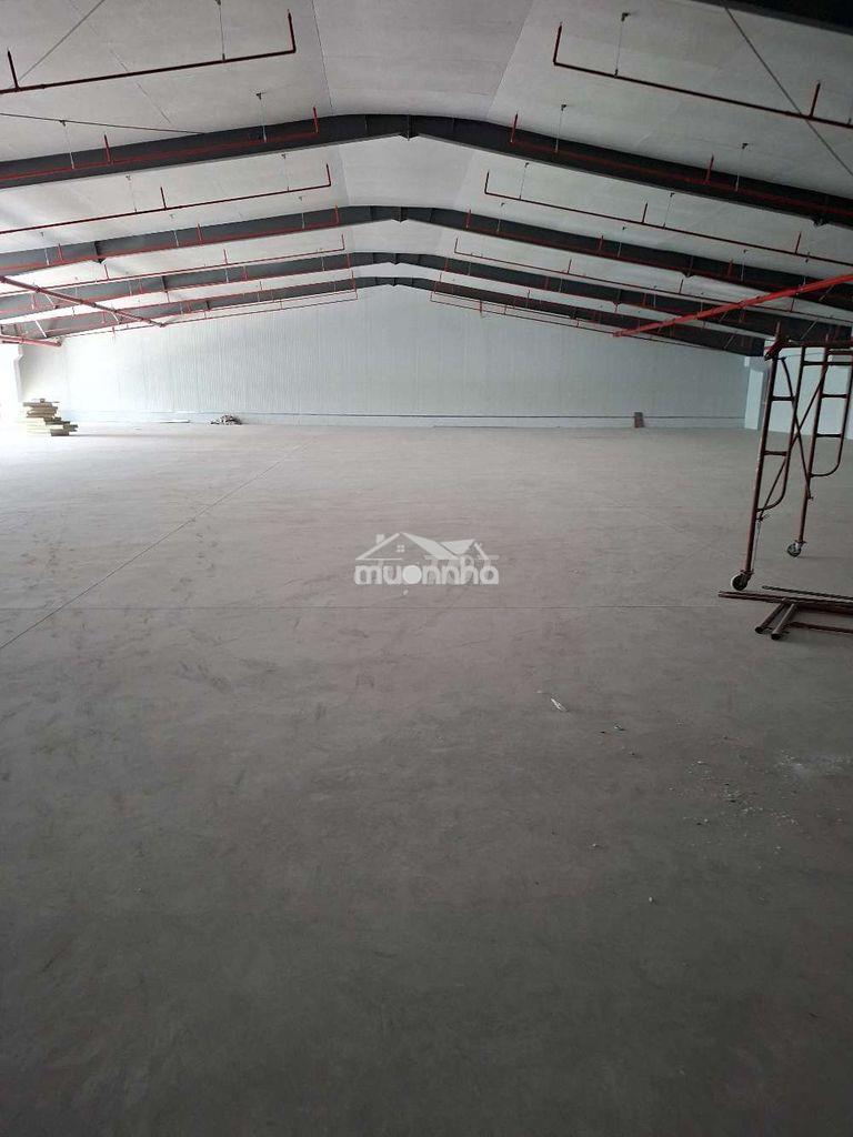 Cho thuê kho xưởng 300, 500 và 1000m2 quận 7 - 3