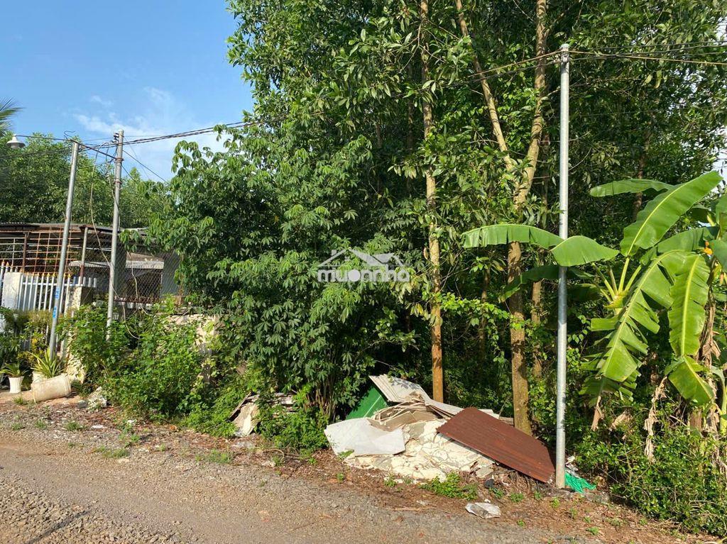 Bán đất - 3