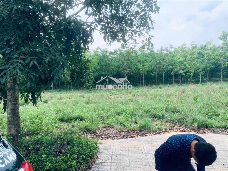 Đất dự án gem sky  world