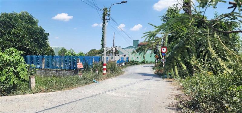 2 mt lộ bờ đai 14,2m x 20m,phuoc lý,go den