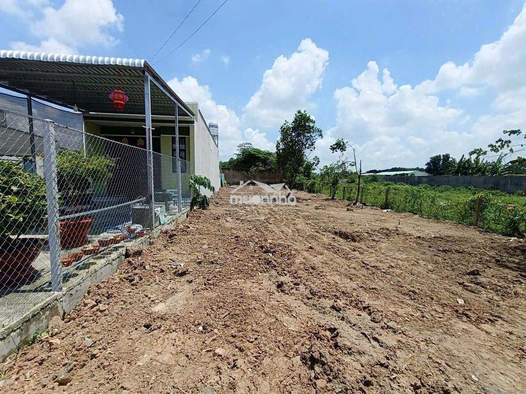 410m² mt trần quang đạo, tân thông hội 200m² thổ cư, sổ riêng xây ngay - 3