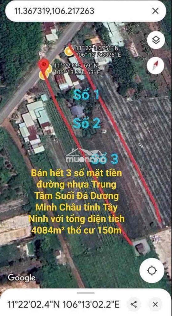Gần 4 công 1 đất đường nhựa 16-16 dương minh châu, chỉ 4 tỷ hết đất - 3