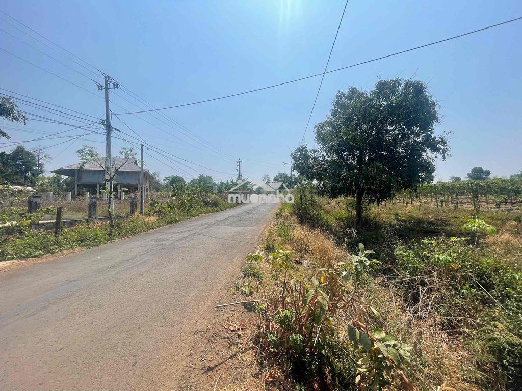 Đất sào đường liên xã, khu dân cư, chưa thổ cư, quy hoạch ont - 3