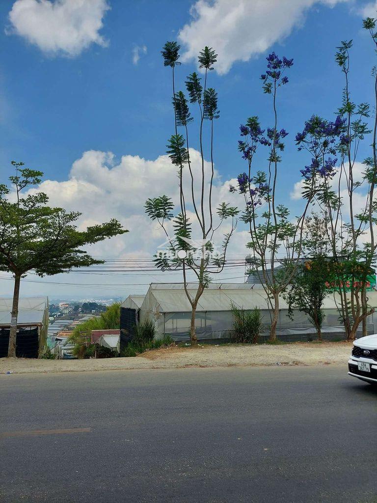 Bán lô đất vị trí đắt địa mt đường hùng vương p xuân trường tp đà lạt - 4