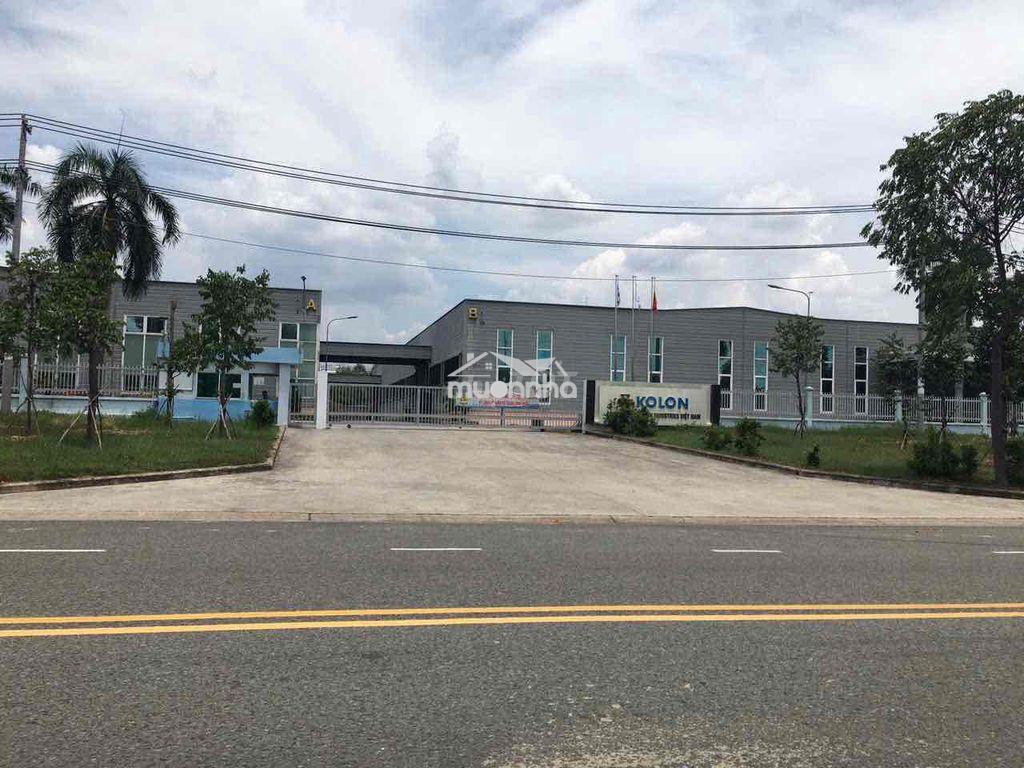 Bán đất bến cát giá rẻ 300m2 giá 840 triệu sát trường đại học việt đức - 4