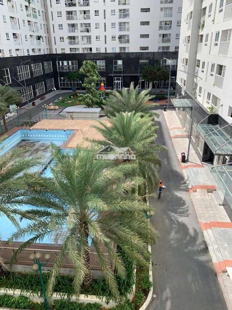 Chính chủ cần bán gấp căn góc chung cư tara residence - 3