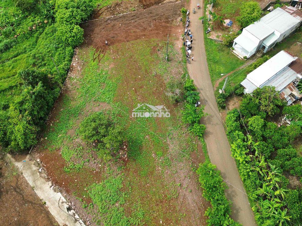 Bán 500m2 có thổ cư long khánh - tp. đồng nai - 2