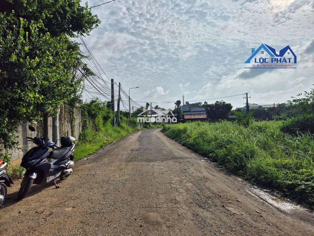 Đất thổ cư đường 768 phường tân triều tp đồng nai - 3