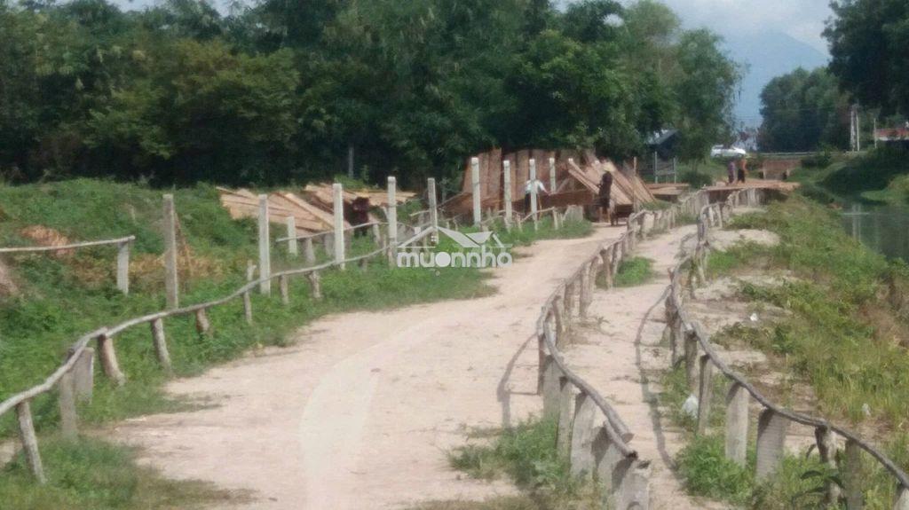 Bán đất mặt tiền huyện dương minh châu lộc ninh tây ninh - 2