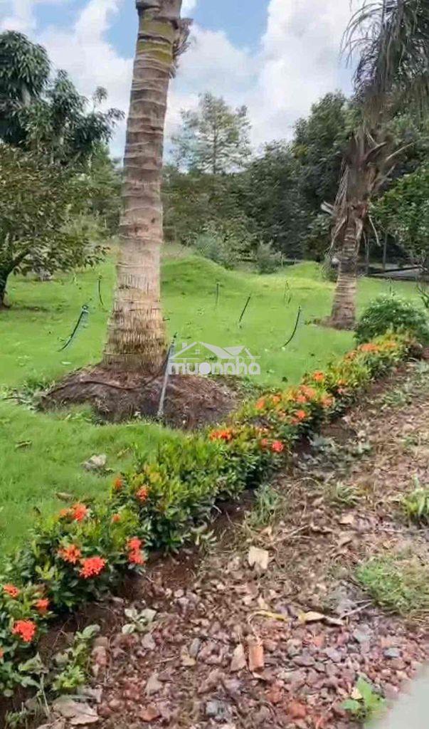 Biệt thự nghĩ dưỡng cách sân bay long thành 5km - 3