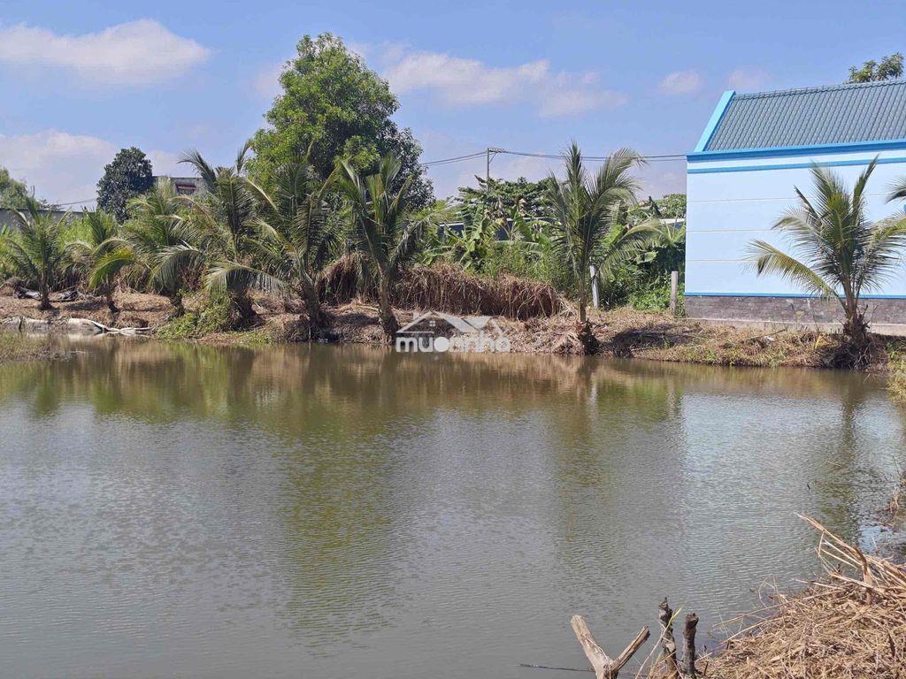 Nhà vườn có sẵn hồ đường nguyễn văn tạo, hiệp phước - 4