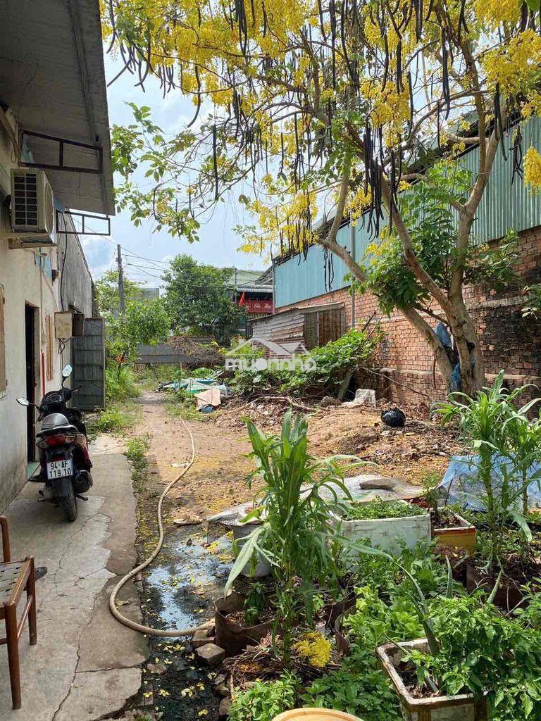 💥 Cần bán lô đất 543m² mặt tiền 12m bình minh - trảng bom - sẵn dãy tr - 3
