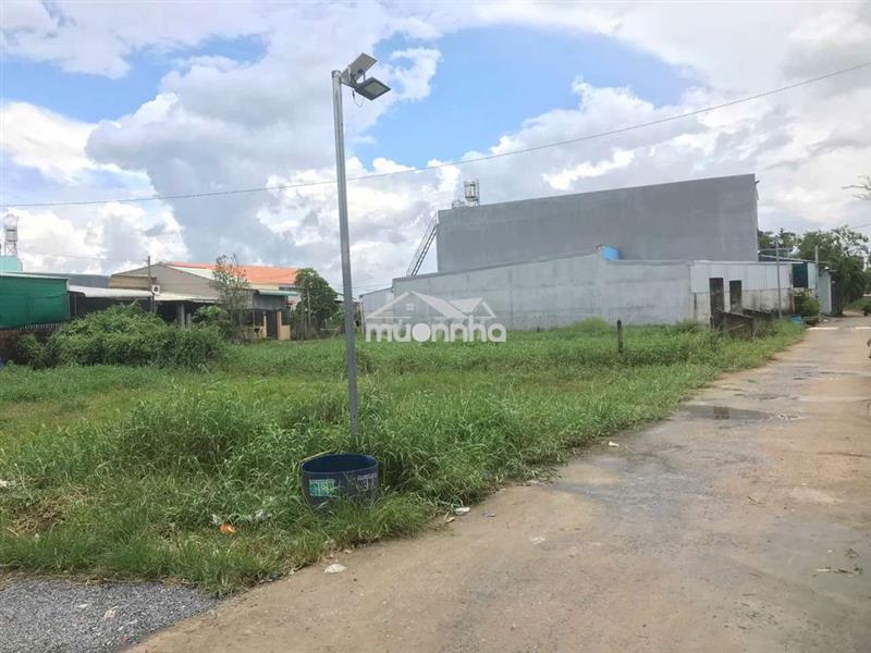 3 đồng 9-lô góc 350mv oto đỗ-phân 3 lô, nhà vườn-1km đến vành đai 3