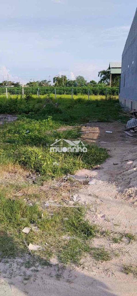 10x35m đất full thổ cư giá rẻ - 3