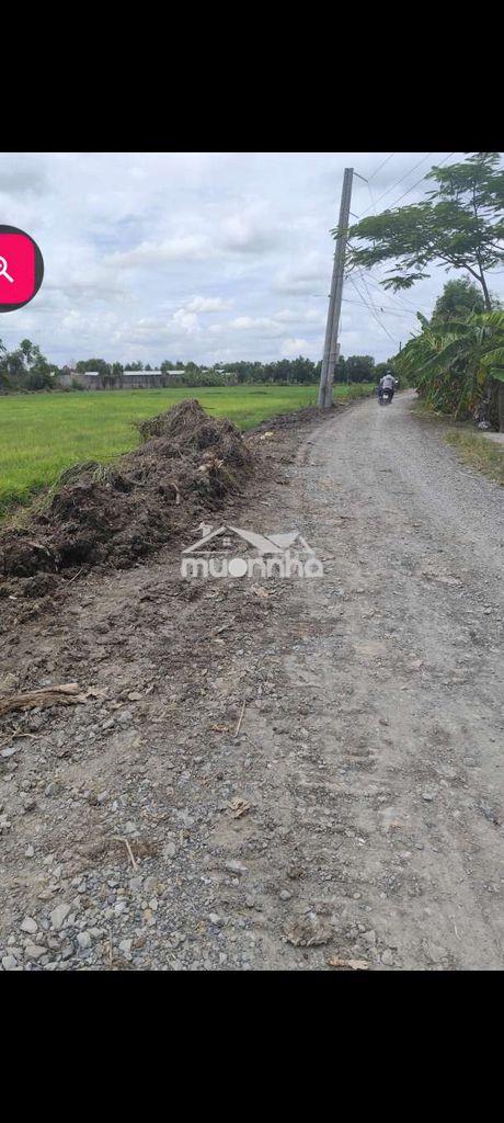 5 nền ngang 10 dài 50  xã đức hoà tây ninh - 3