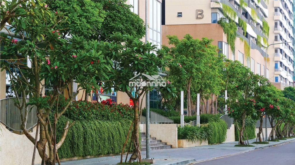 Diamond lotus riverside 1pn-1wc_49m2_full nội thất đẹp_giá tốt - 3
