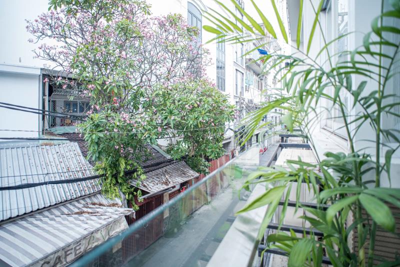Cho thuê căn hộ 1 phòng ngủ balcony  - thang máy - chợ bến thành - đại học văn lang - hoa sen - takashimaya - 3