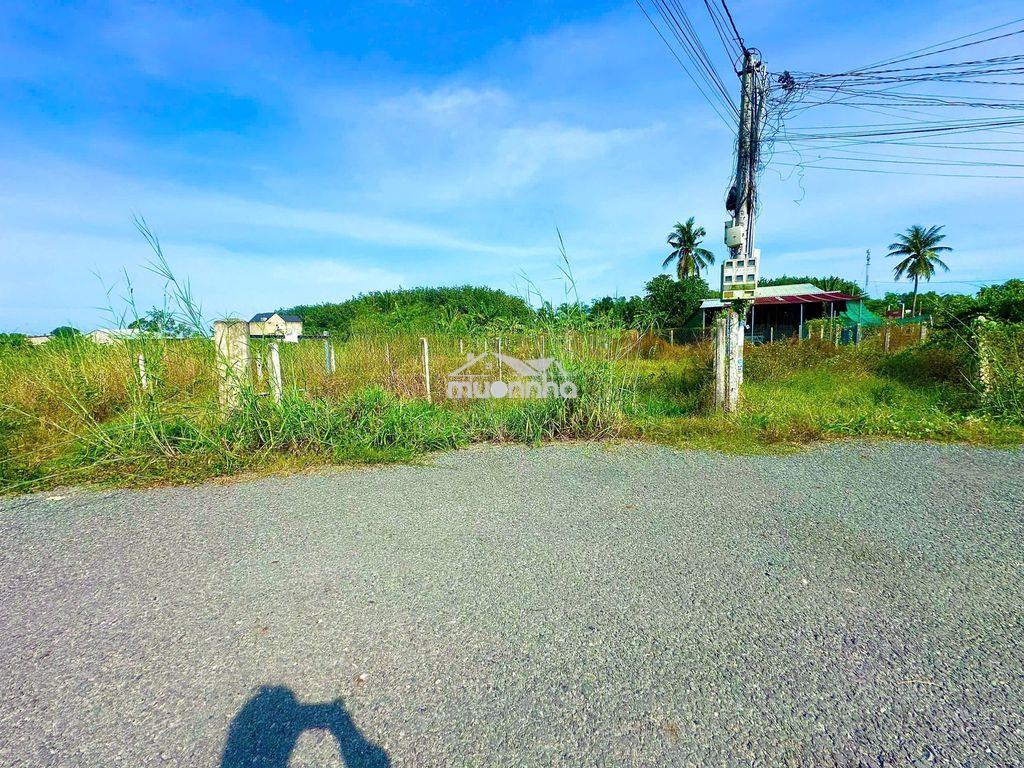 5x29 đường nhựa. đất ở đô thị phường gò dầu. 520tr tl - 4