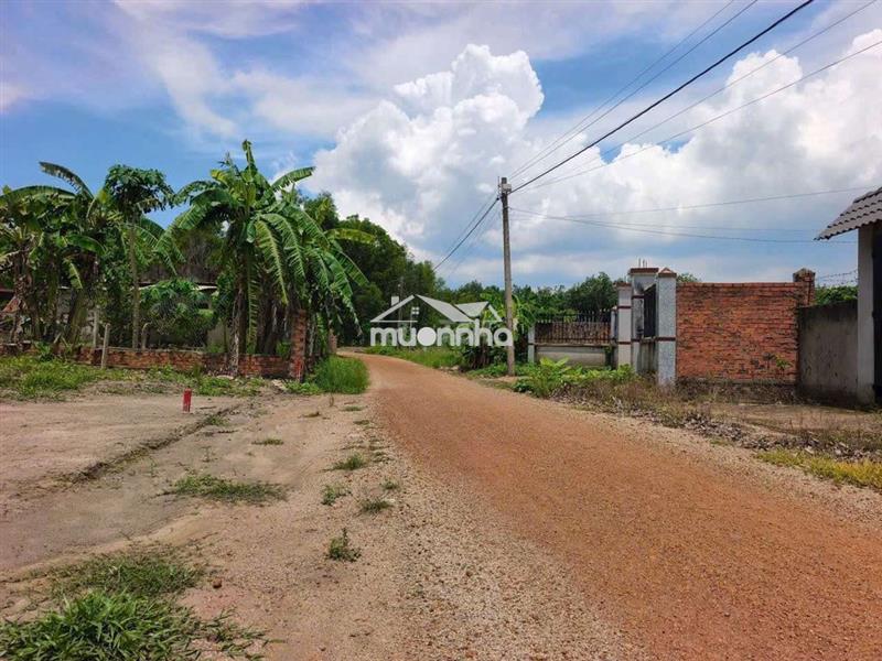 Chính chủ cần bán mảnh vườn 1200m2 có sẵn gần 200m thổ cư.