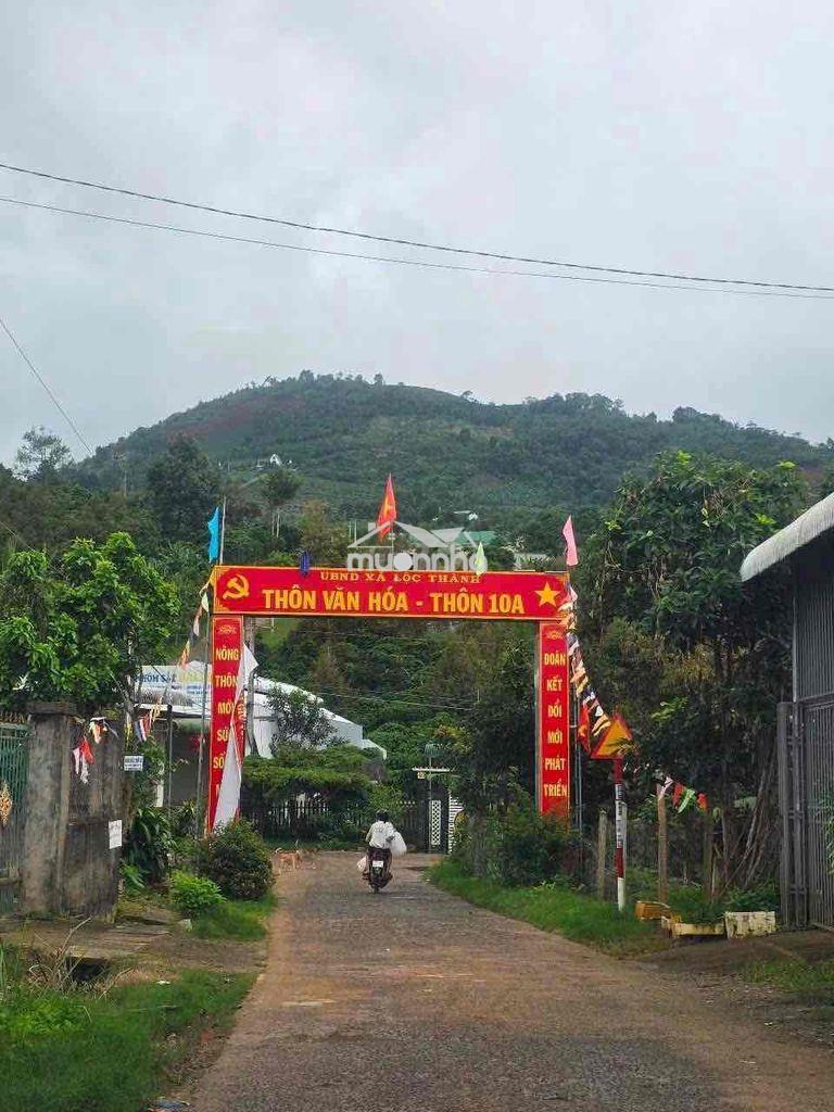 Bán lỗ đất có thổ cư, view săn mây sẵn sầu riêng