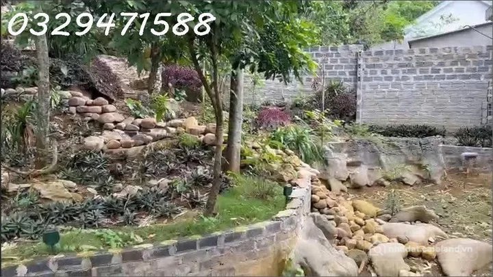 🌻Cho thuê nhà vườn tại xã lạc lương (h.yên thuỷ, hoà bình), nay là phú thọ. 0329471588 - 2