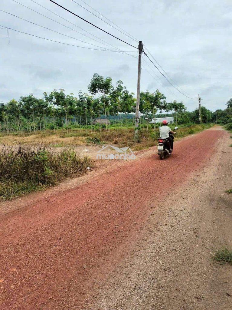 Chính chủ cần bán mảnh vườn 1200m2 có sẵn gần 200m thổ cư. - 2