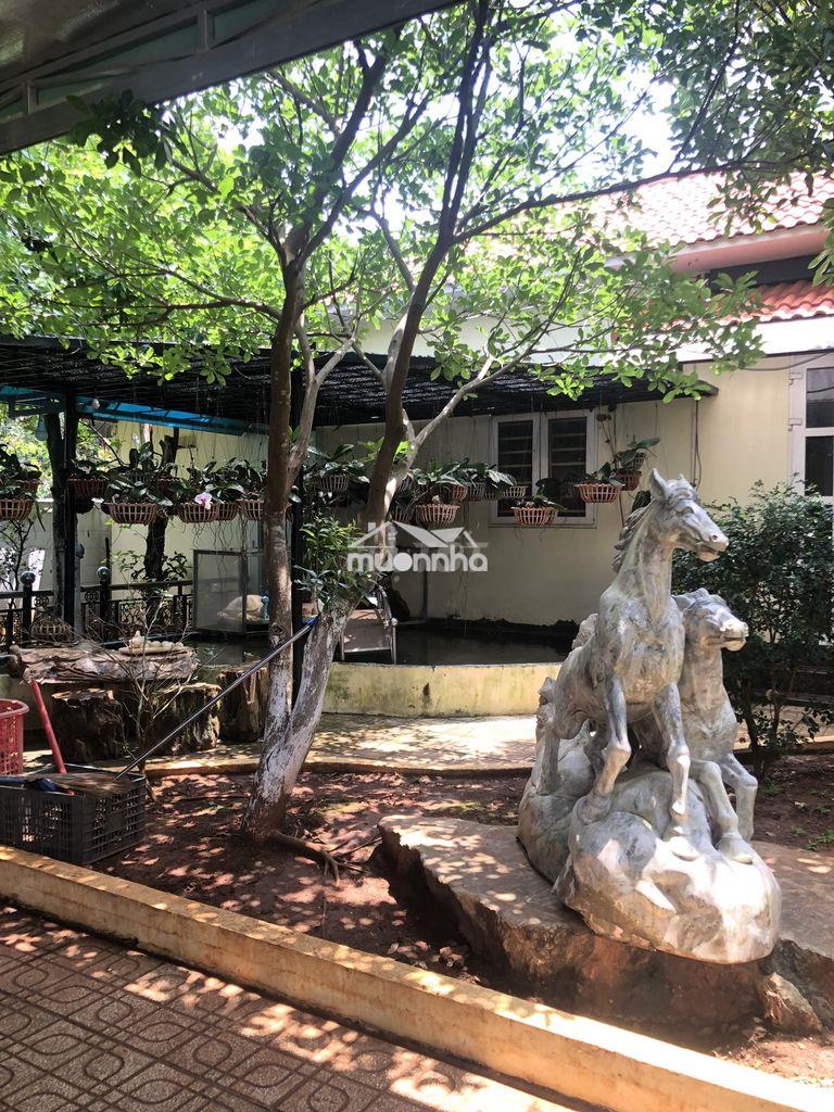 Nhà biệt thự gần sân bay long thành – có sẵn nhà yến – giá 12tỷ (tl) - 4