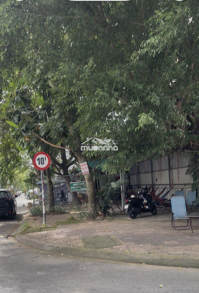 Nền góc tây đô - 2